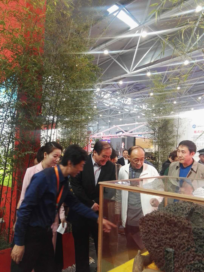 尊时凯龙·Z6(中国区)人生就是拼搏!