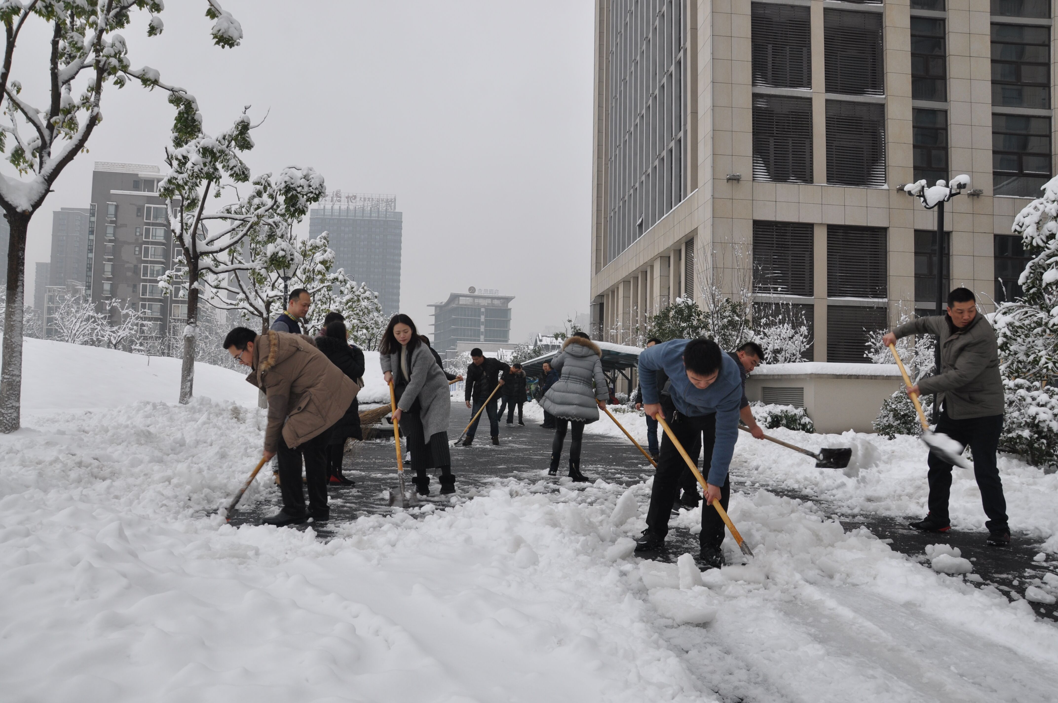 尊时凯龙·Z6(中国区)人生就是拼搏!