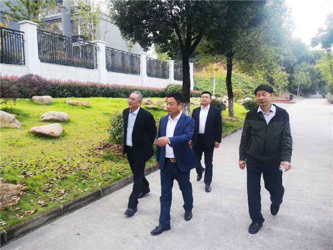 尊时凯龙·Z6(中国区)人生就是拼搏!