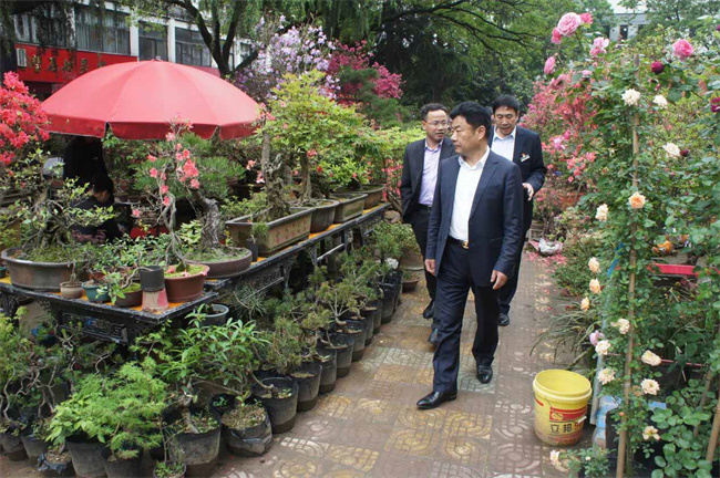 尊时凯龙·Z6(中国区)人生就是拼搏!