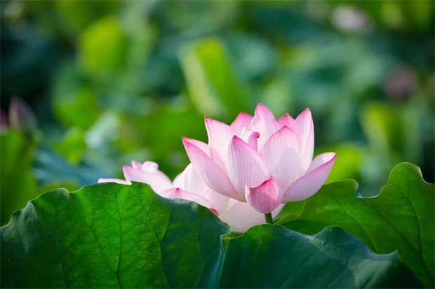 尊时凯龙·Z6(中国区)人生就是拼搏!