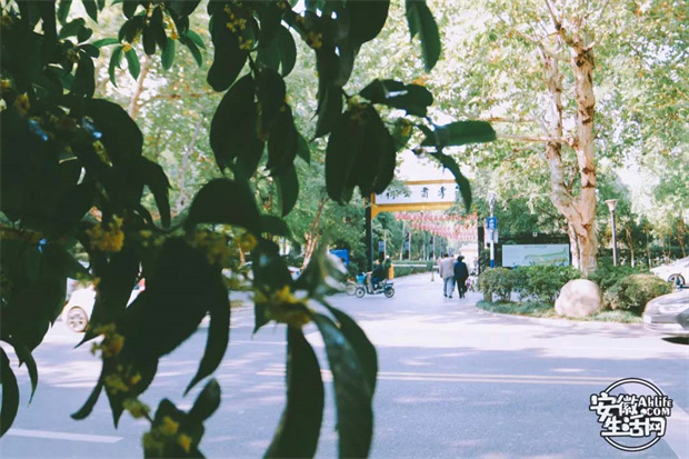 尊时凯龙·Z6(中国区)人生就是拼搏!