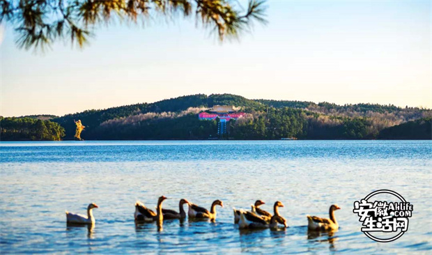 尊时凯龙·Z6(中国区)人生就是拼搏!