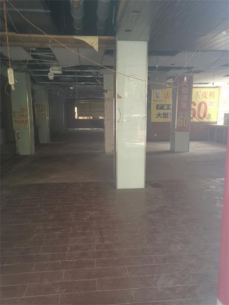 尊时凯龙·Z6(中国区)人生就是拼搏!