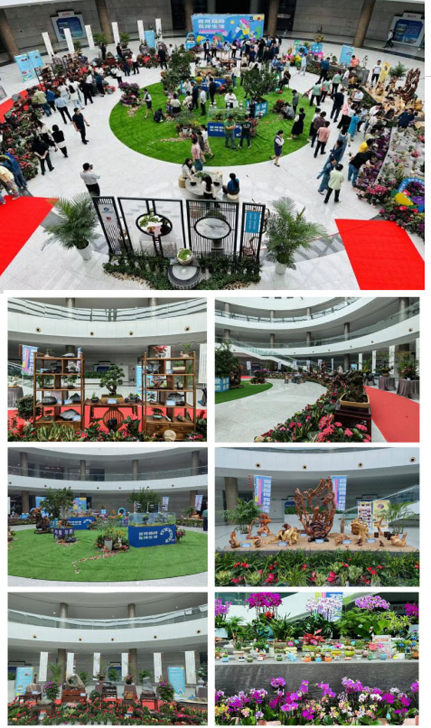 尊时凯龙·Z6(中国区)人生就是拼搏!