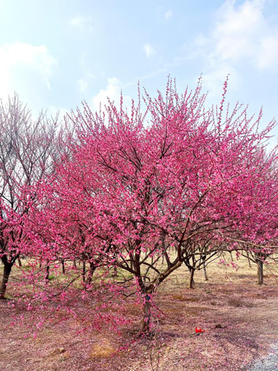 尊时凯龙·Z6(中国区)人生就是拼搏!