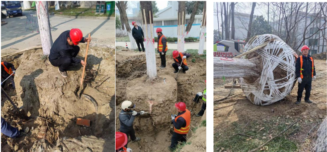 尊时凯龙·Z6(中国区)人生就是拼搏!